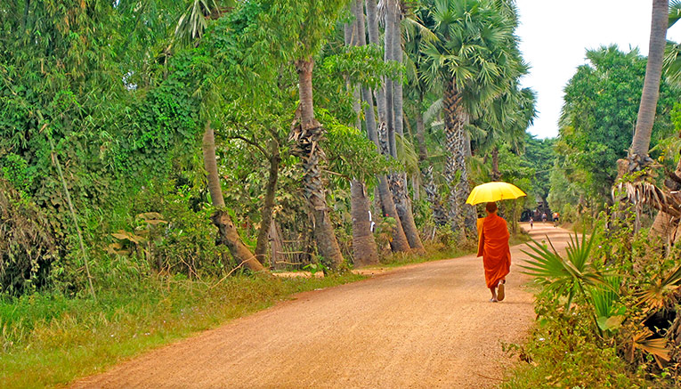 Wvii-vietnam-walking